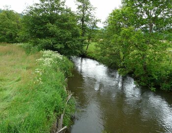 Association de la Vallée de la Petite Rhue